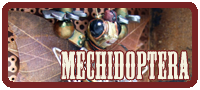 Mechidoptera moth Mechtorian sculpture by Doktor A.